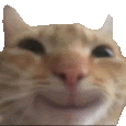 Dev 2